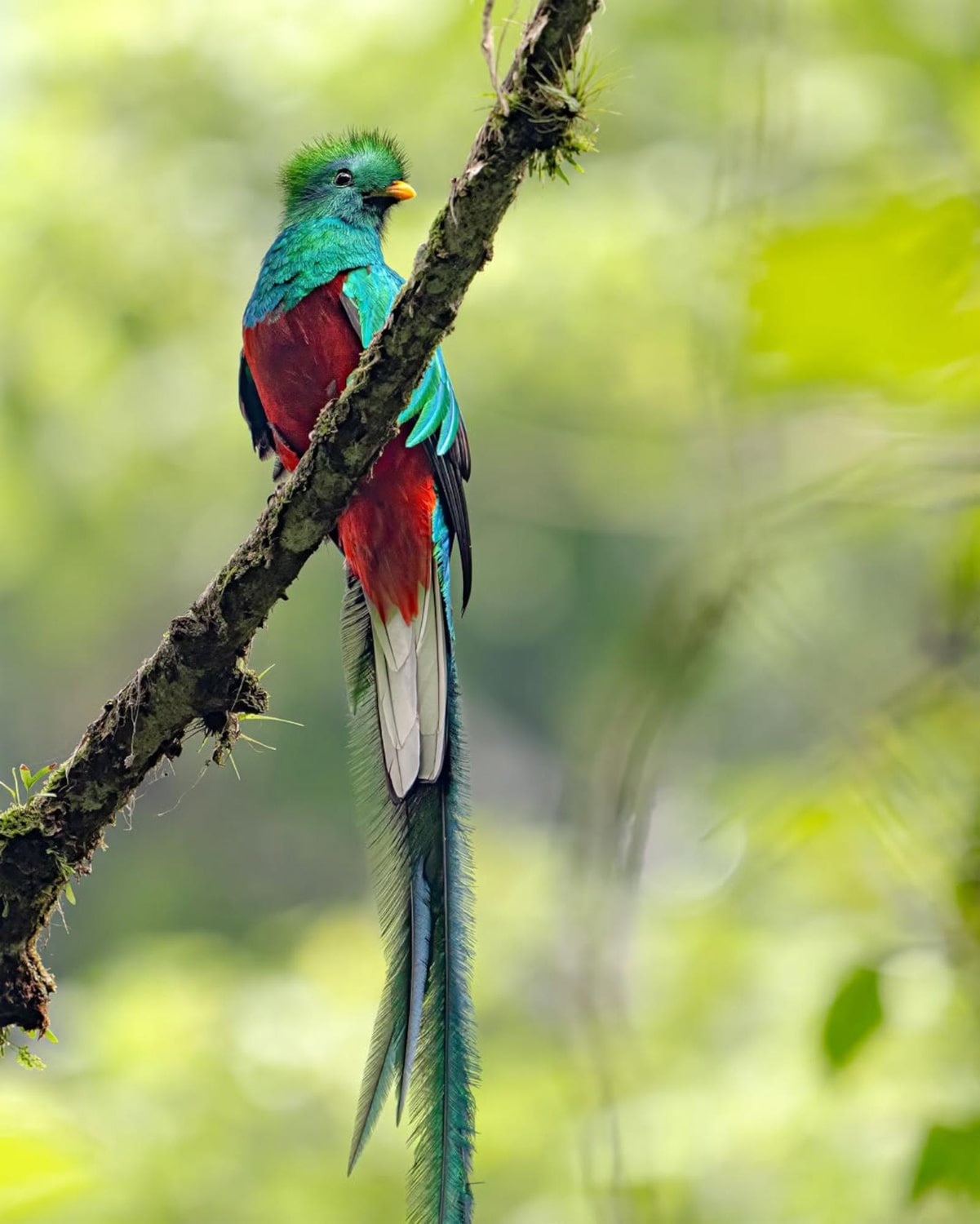tour-fauna-min